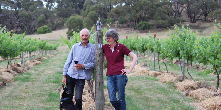 Sustainability Sits at the Heart of Dogrock Winery