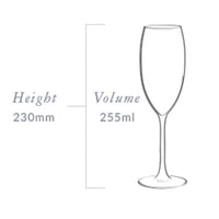 Plumm Outdoors SPARKLING Master Carton 16 Pack