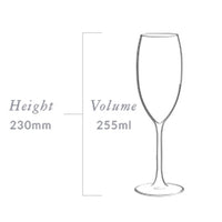 Plumm Vintage SPARKLING