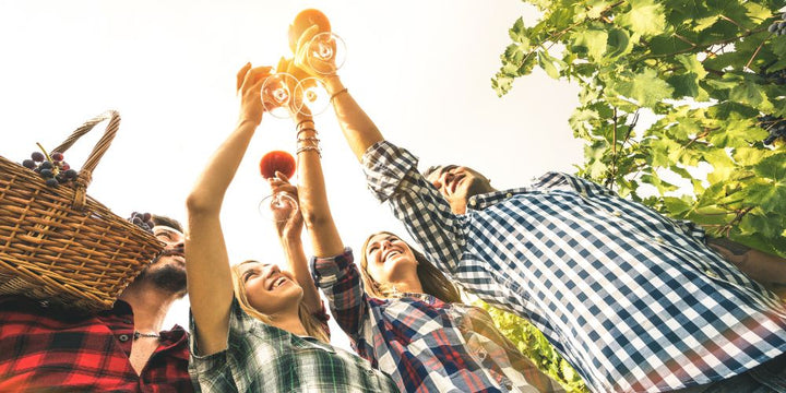 Springtime Sips: Fresh Wines for the Season