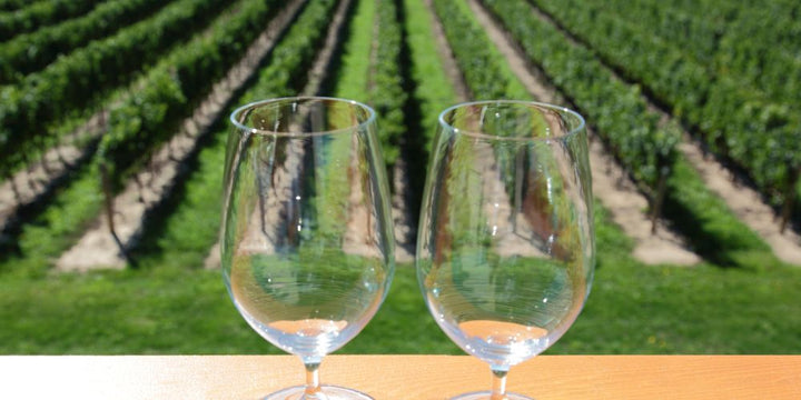 5 Australian Wineries to Experience Before Summer Bids Adieu
