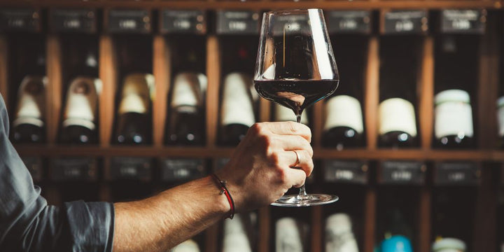 Wine 101: A Beginners Guide to Mastering Wine