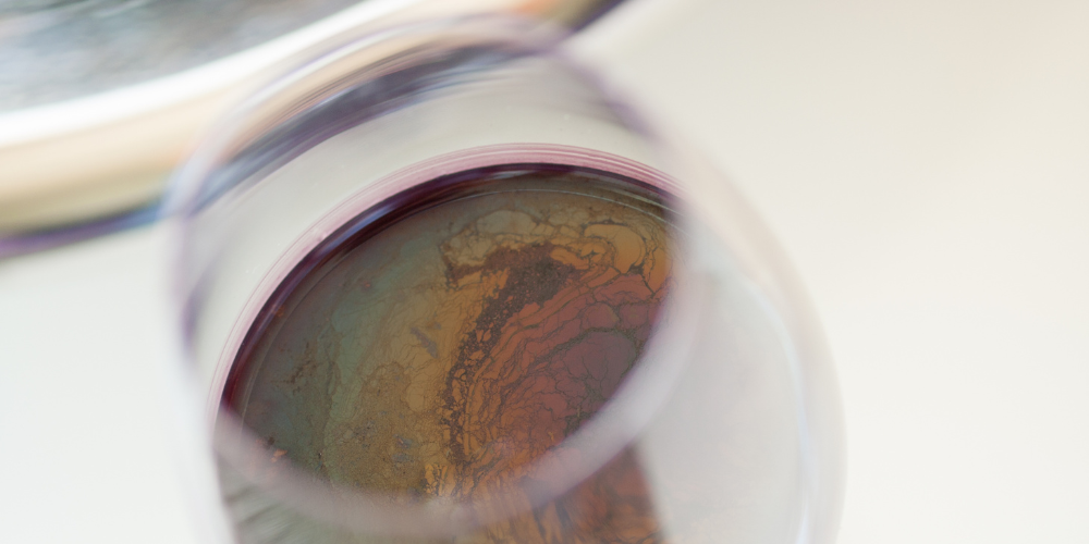 Did You Know How Easily Wine Can Spoil? Grand Cru Wine Fridges