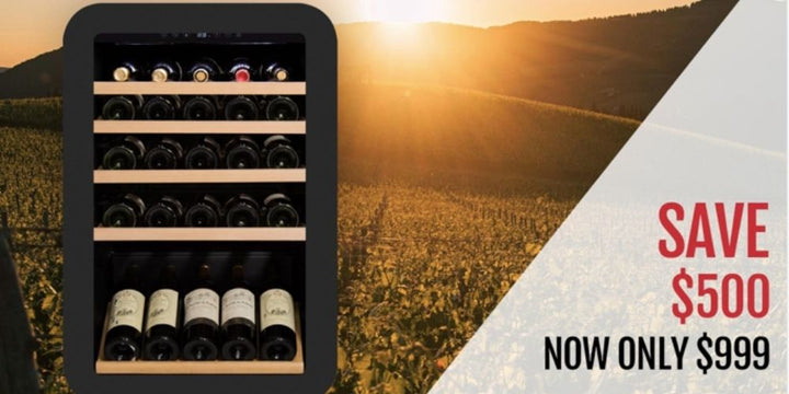 Get Ahead Of The Curve With Our New Wine Fridge Design