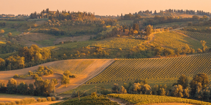 Australia's Highest Wine Region