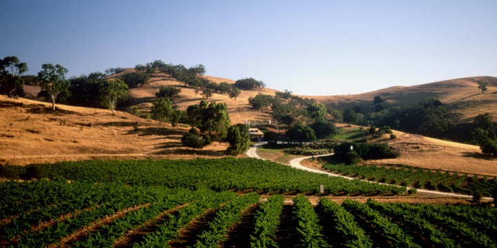 Beat the Winter Blues and Visit Australia's Top 3 Wine Regions