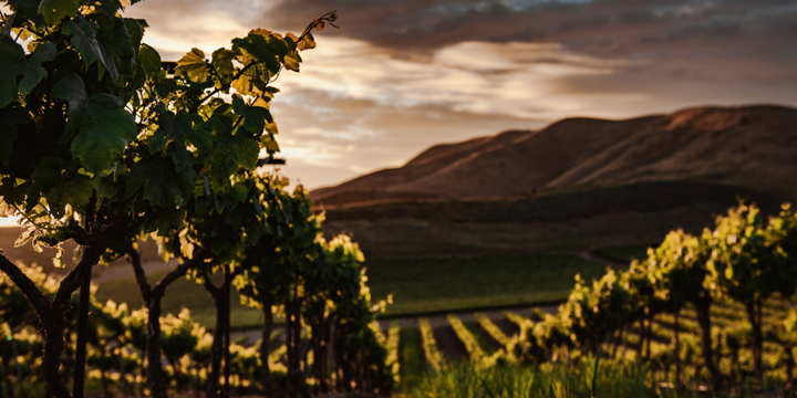 Wineries of Western Australia's Margaret River