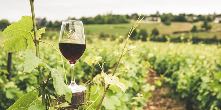 An Explainer of the Australian Wine Tariff Saga
