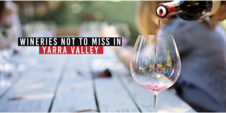 Five Beautiful Wineries in the Picturesque Yarra Valley Wine Region