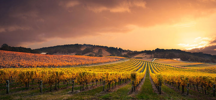 The Top Winery Accommodations in Australia