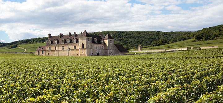 A selection of the best wine regions in the world